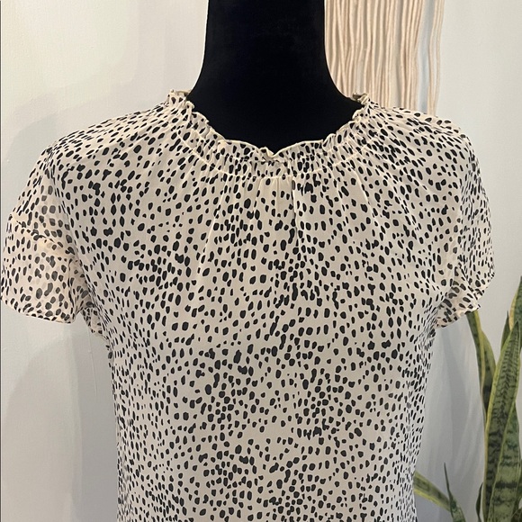Express Sheer Black and White Polka Dot Women's Top - Picture 3 of 8